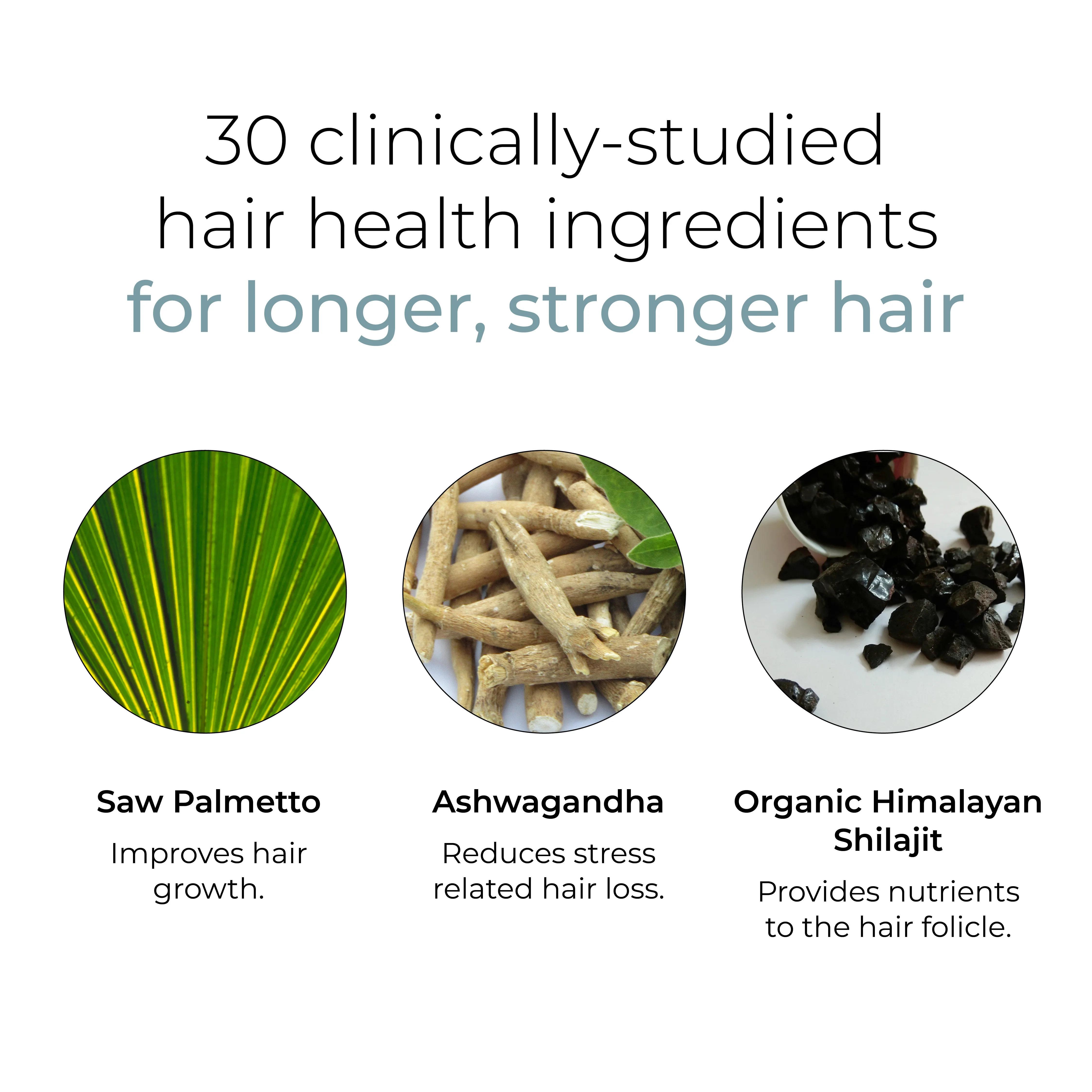 DeeplyRooted - Image 7